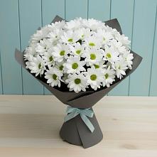 Букет цветов из:  Хризантемы в Тимонино