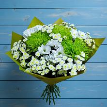 Букет цветов из:  Хризантемы #REPLACE_PRED# Тимонино