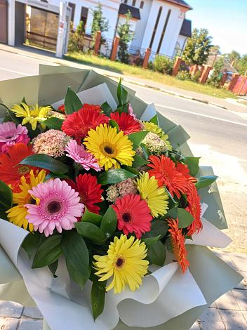 Букет цветов из: Герберы в Тимонино